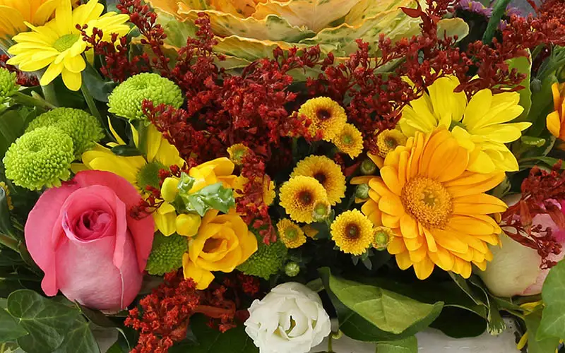 Get Well Flowers from Rogers Florist in Meridian, MS