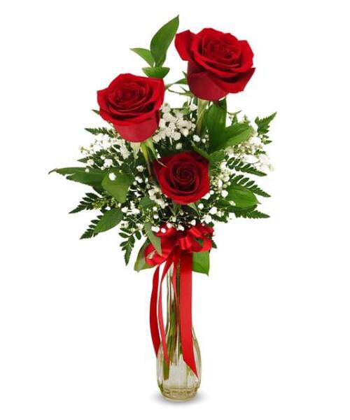Red Roses from Rogers Florist, your flower shop in Meridian, MS