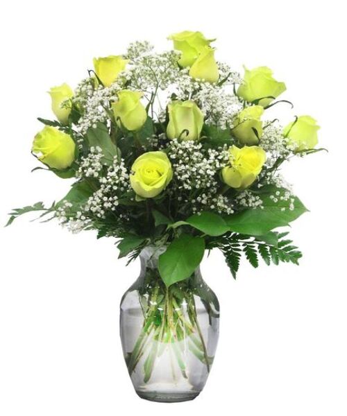 Dozen Green Roses from Rogers Florist, your flower shop in Meridian, MS