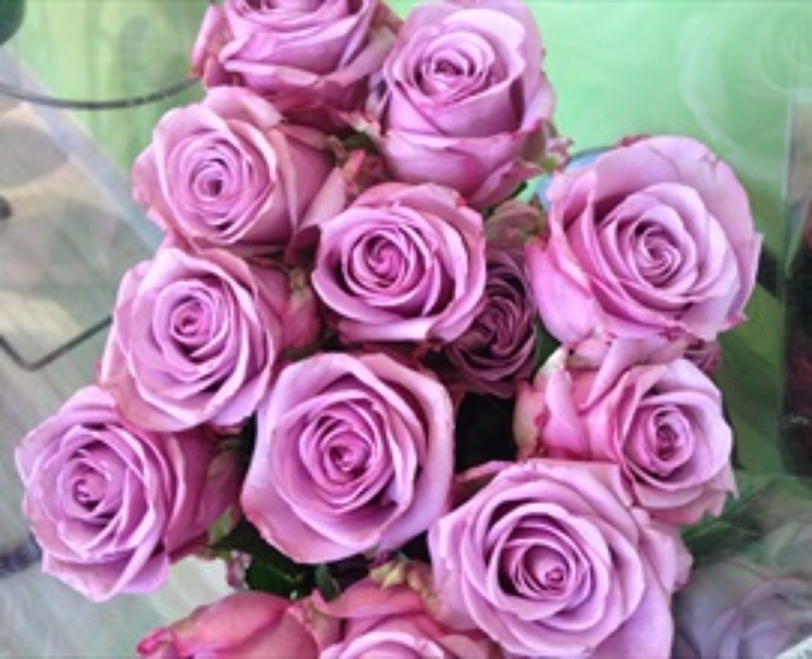 Cool Water Roses  from Rogers Florist, your flower shop in Meridian, MS